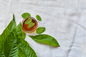 The Healing Powers of Tulsi in Ayurveda