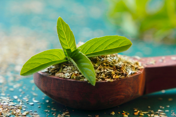 Tulsi: A Sacred Remedy in Ayurveda