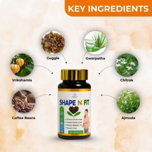13 shap&fit-2
