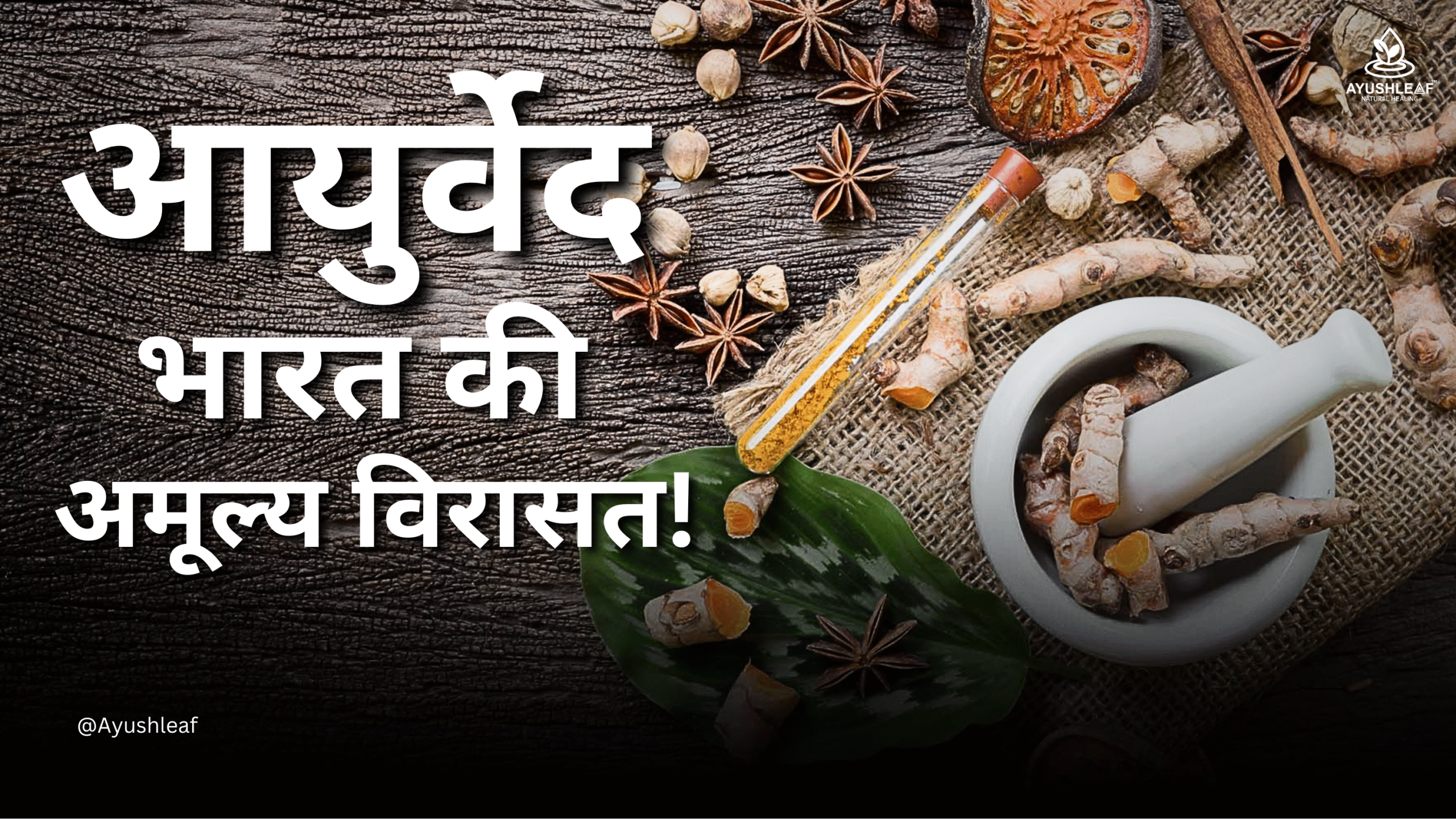 आयुर्वेद की अमूल्य विरासत