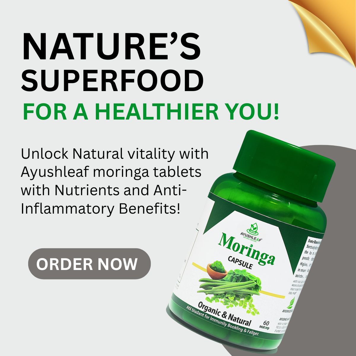 moringa-3