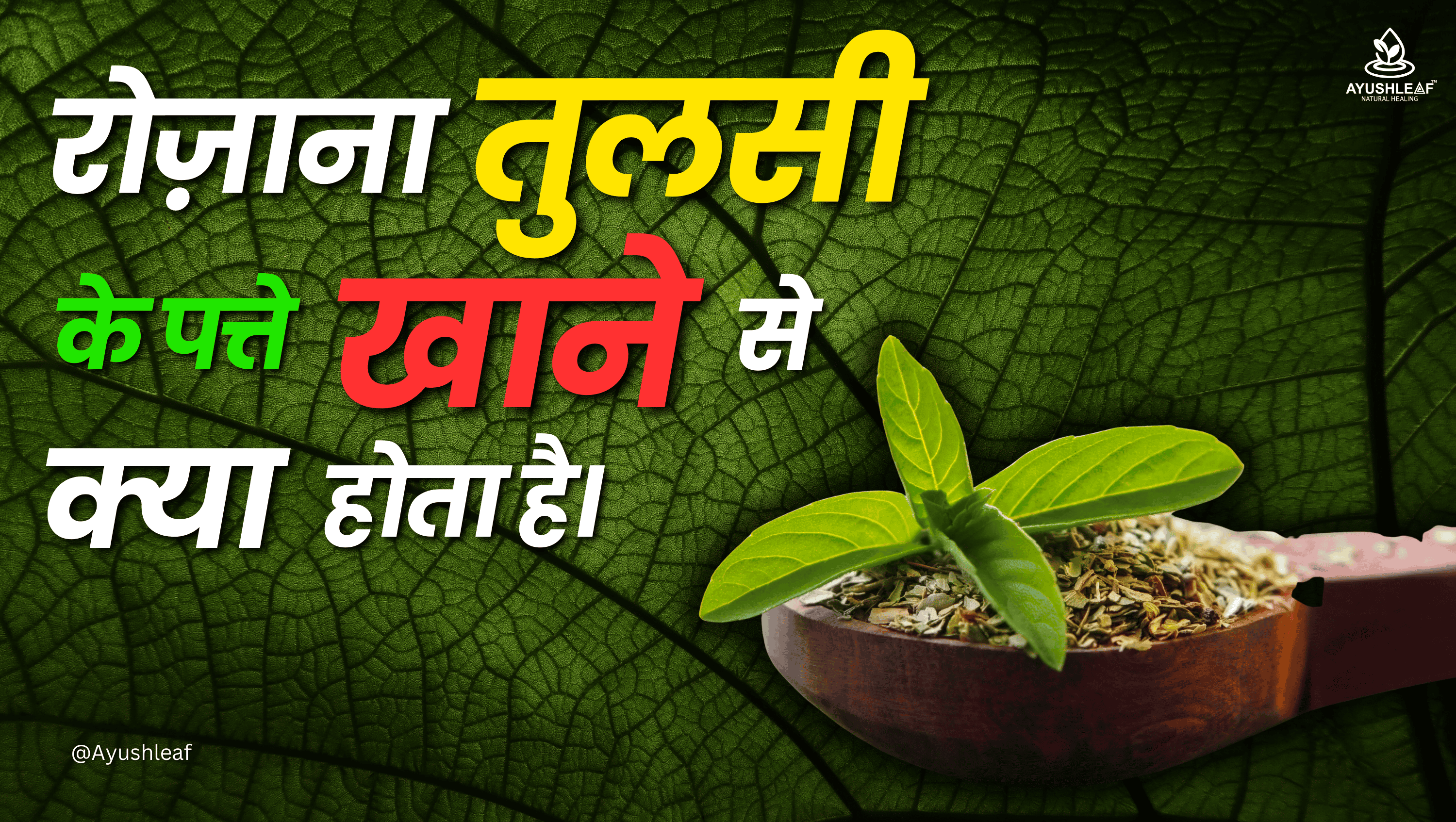 आयुर्वेद में तुलसी के चमत्कारी लाभ