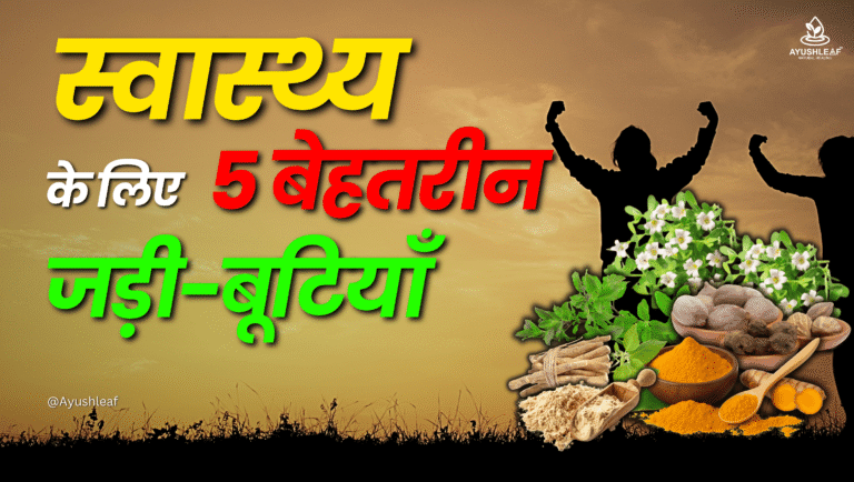 5 बेहतरीन आयुर्वेदिक जड़ी-बूटियाँ