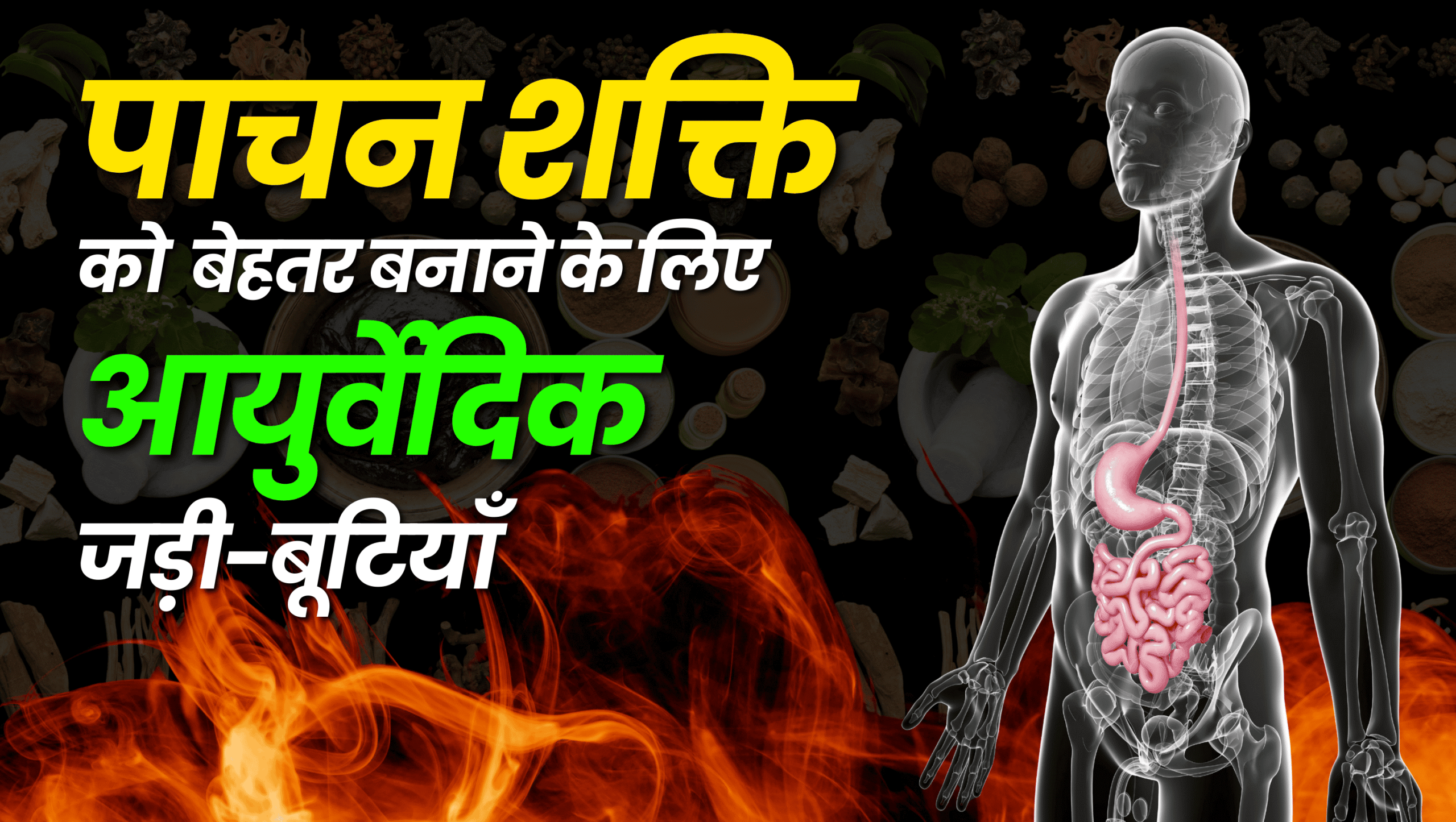 पाचन शक्ति को बेहतर बनाने के लिए आयुर्वेदिक जड़ी-बूटियाँ