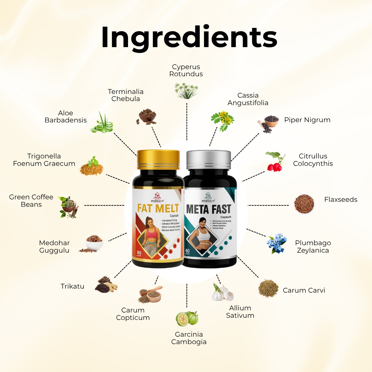 fat melt + meta fast capsules | weight loss (combo pack)