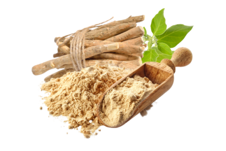 अश्वगंधा (Indian Ginseng) अश्वगंधा (Indian Ginseng)